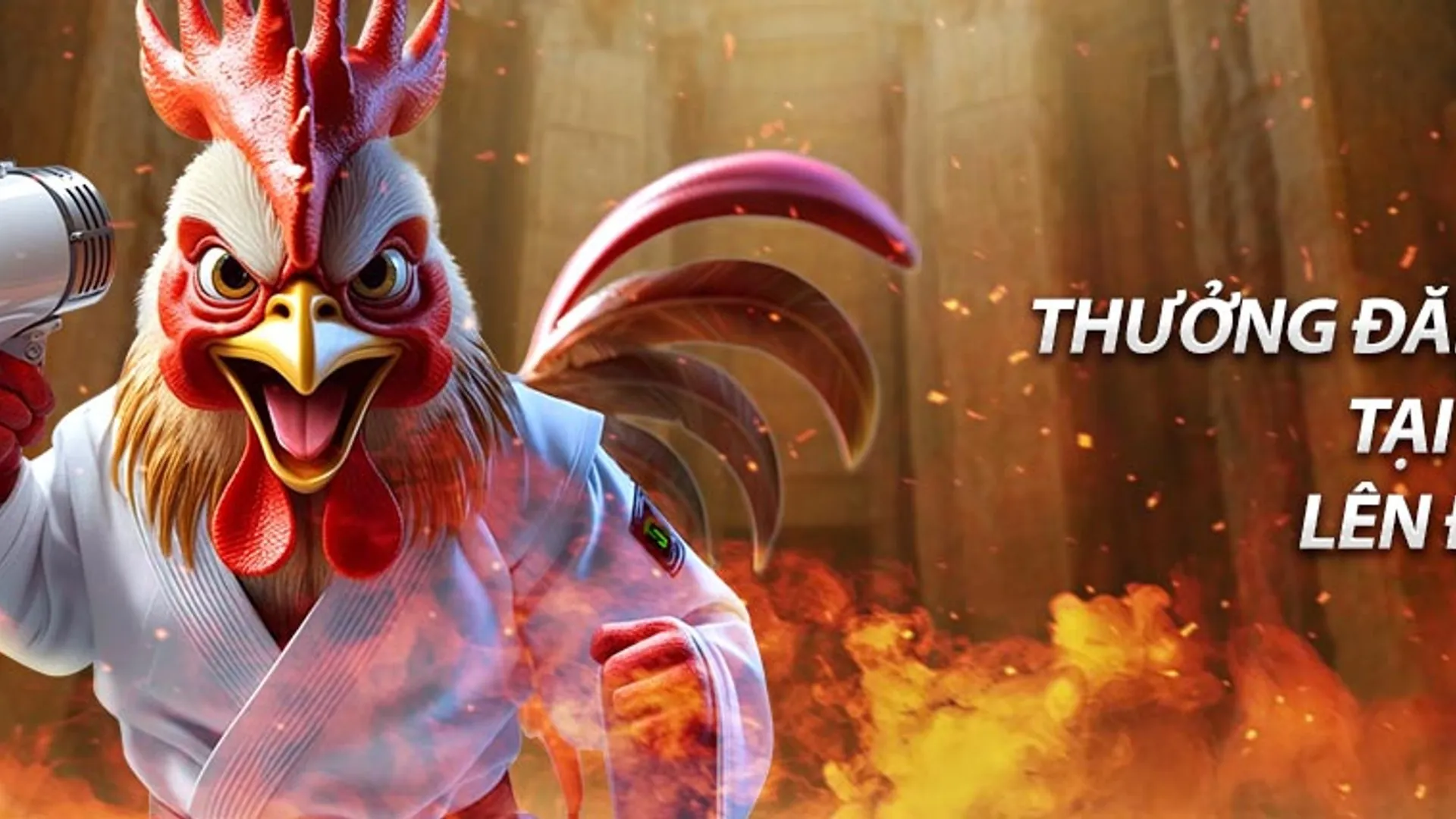 Hình ảnh ưu đãi độc quyền NHATVIP