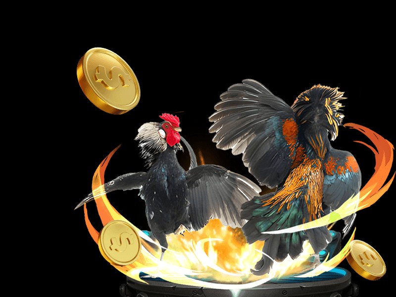 Hình ảnh biểu tượng miễn trừ trách nhiệm và an toàn trên NHATVIP