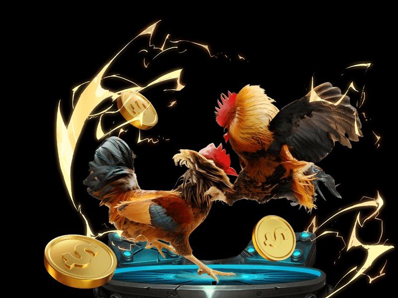 Cấp độ VIP Bạch kim của NHATVIP